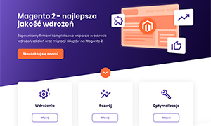 Witryna techbrand